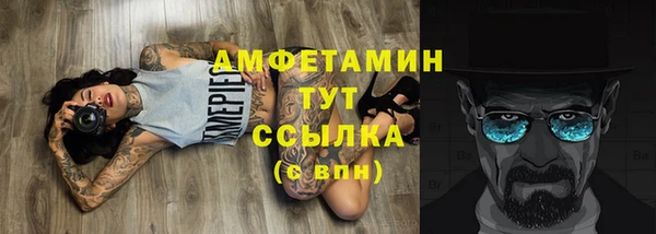 прущий лед Каменка
