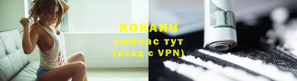 прущий лед Каменка