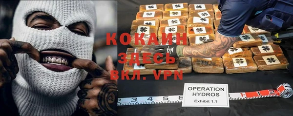 прущий лед Каменка