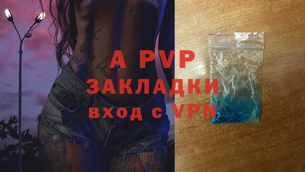 прущий лед Каменка