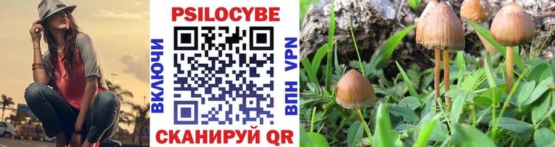 Купить  Короча  Галлюциногенные грибы MAGIC MUSHROOMS 